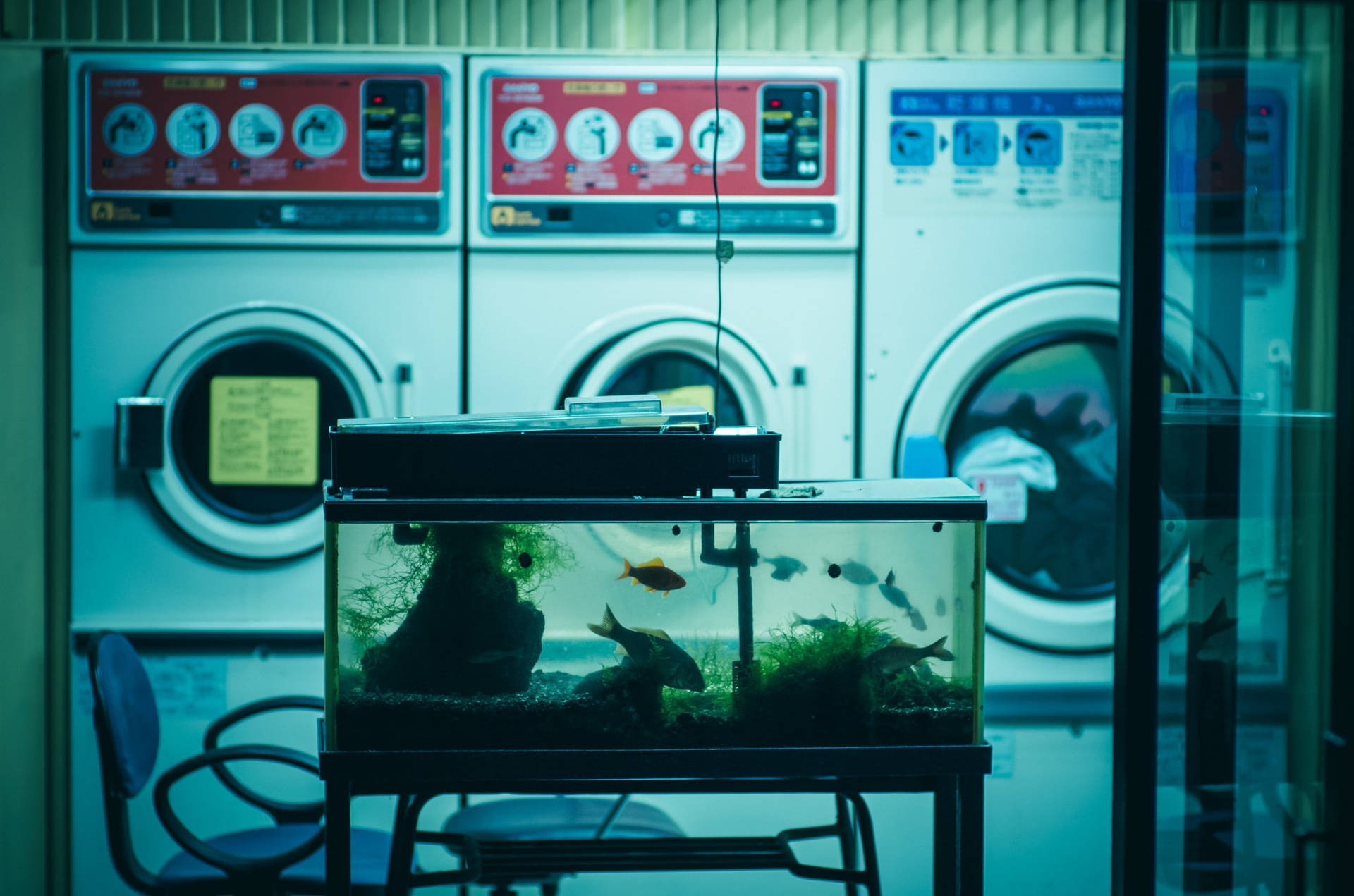 Aquarium In A Laundry Shop Wallpaper