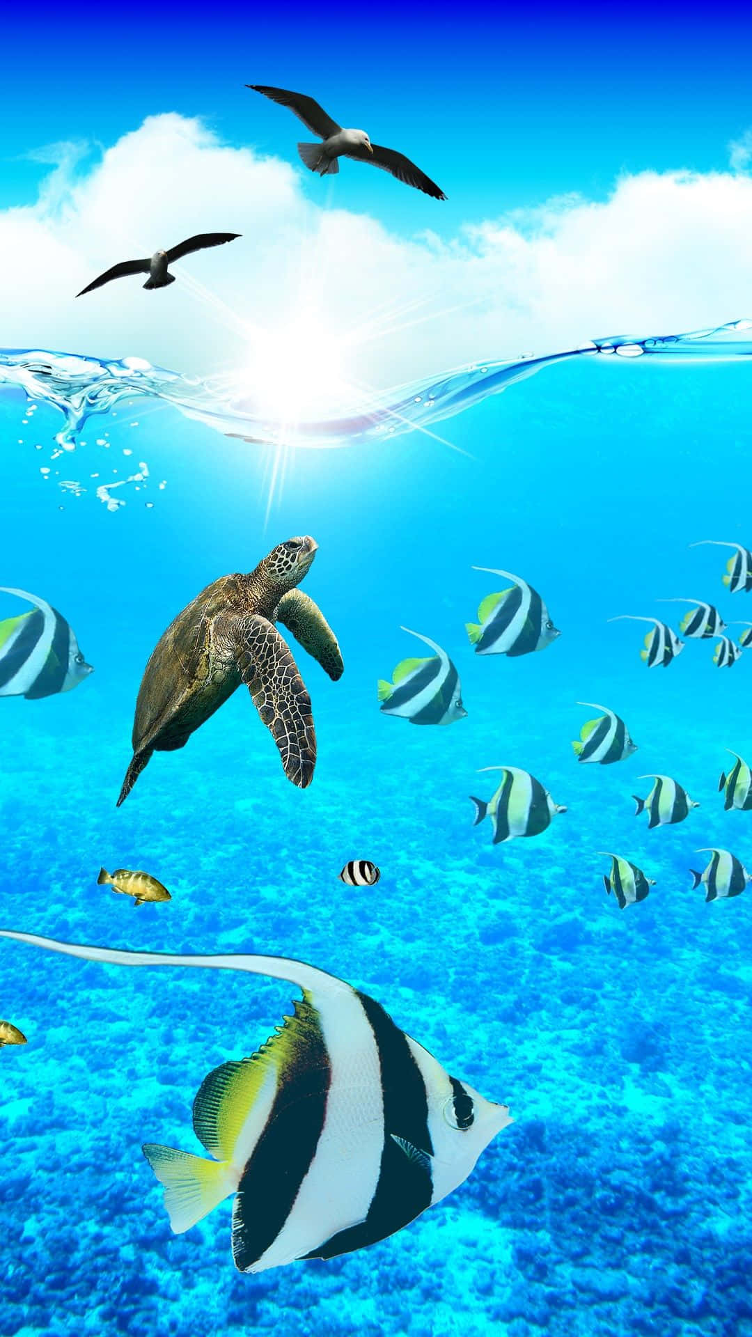 Dykned I En Verden Af ​​akvatisk Skønhed - Aquarium Iphone Wallpaper