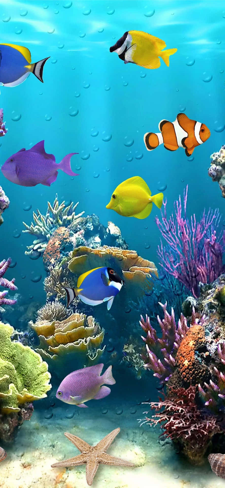 En rolig og betagende akvarium, som du kan tage med overalt. Wallpaper