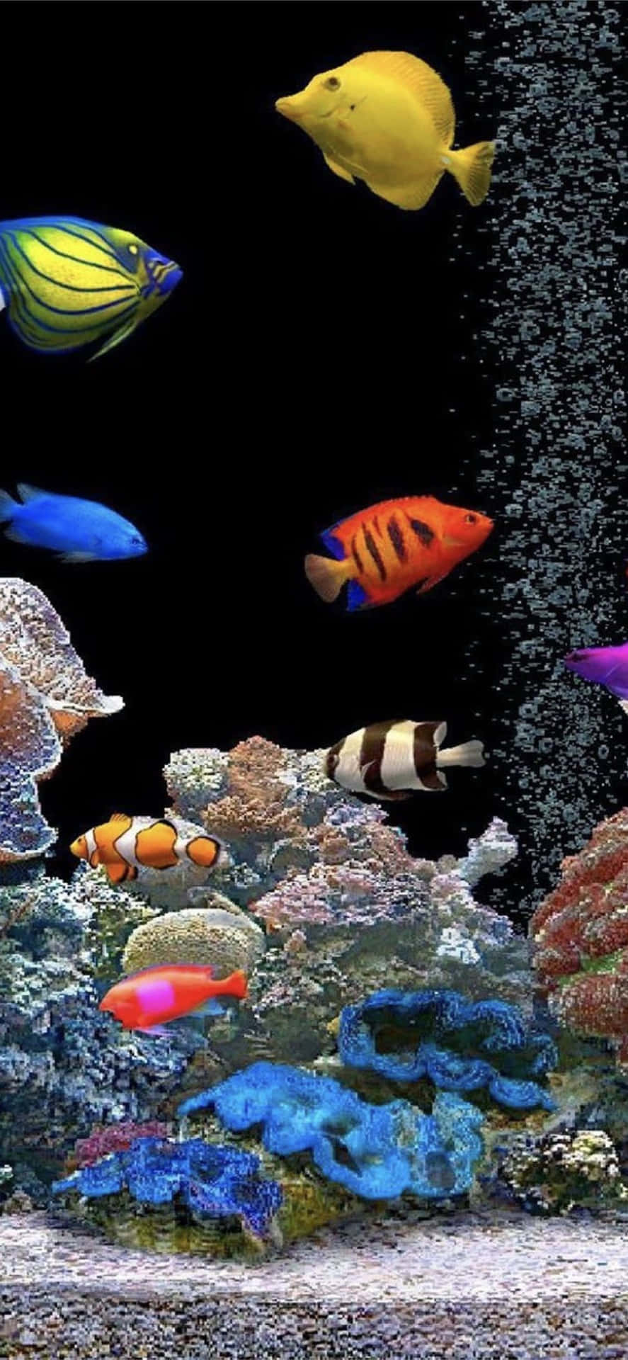 Enjoy The Relaxing Sight Of A Captivating Aquarium Wallpaper