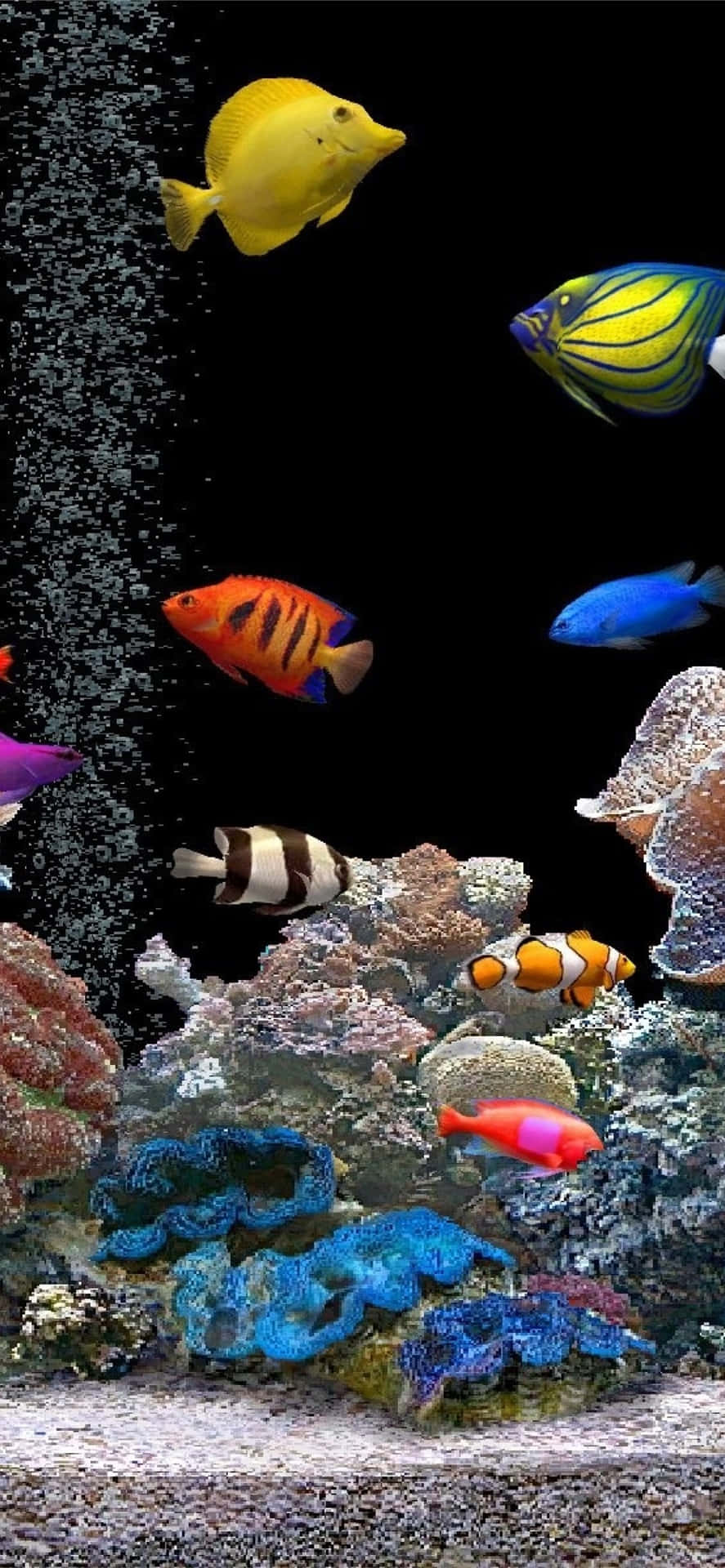 Erlebemit Einem Aquariumthemenbezogenen Iphone Eine Unterwasserflucht. Wallpaper