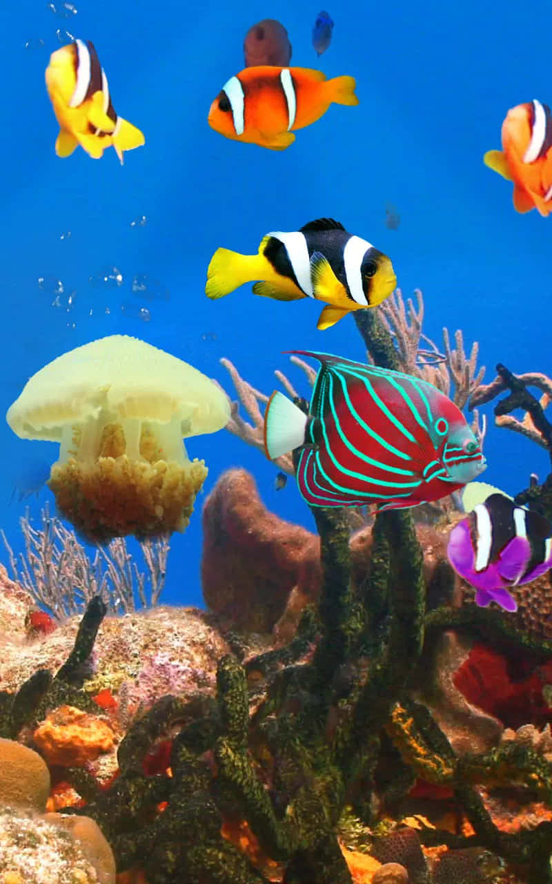 Schaffensie Ruhe Und Frieden Mit Einem Handy-hintergrundbild Eines Aquariums Wallpaper