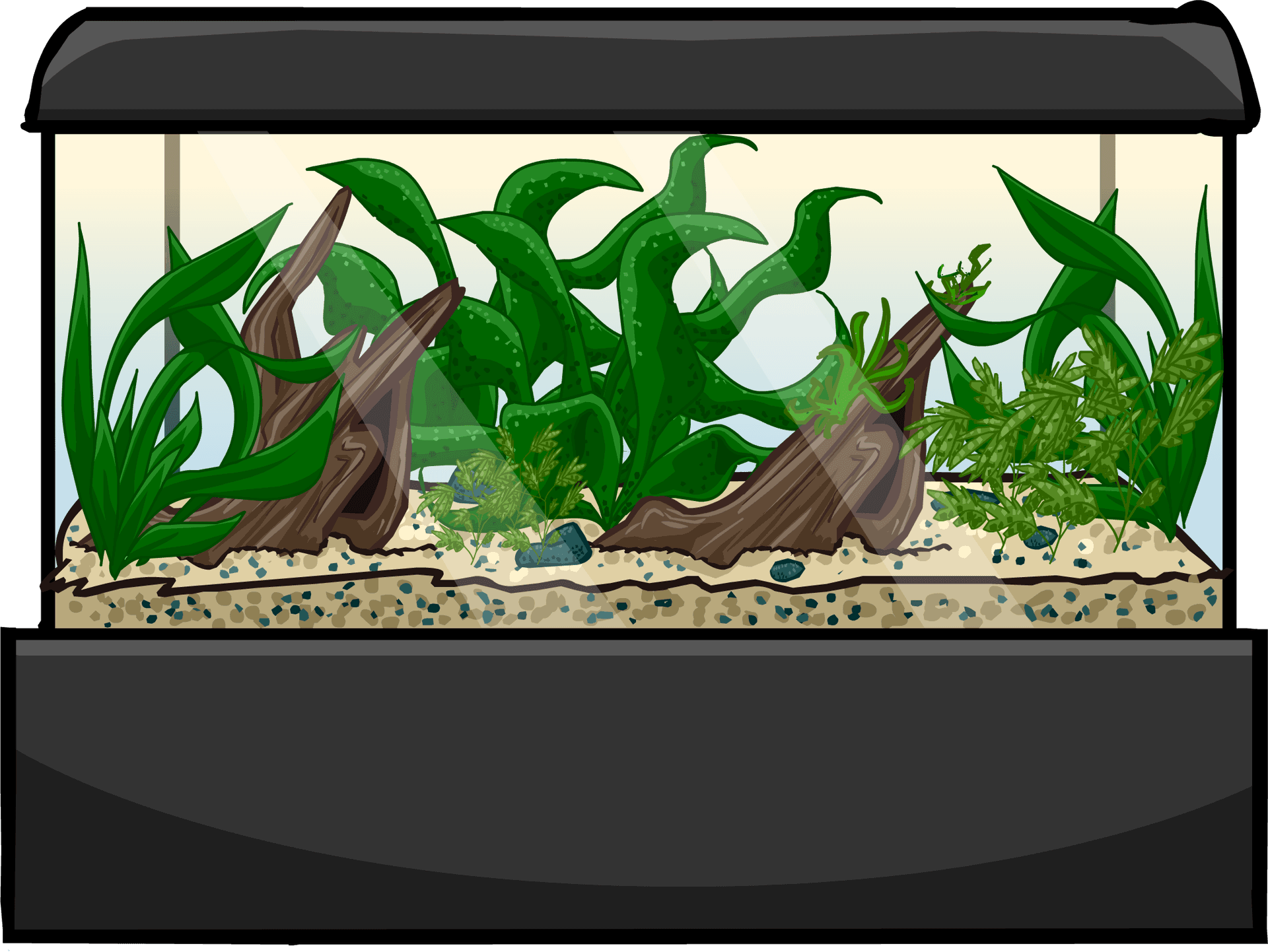 Aquarium Plantsand Driftwood Setup.png PNG