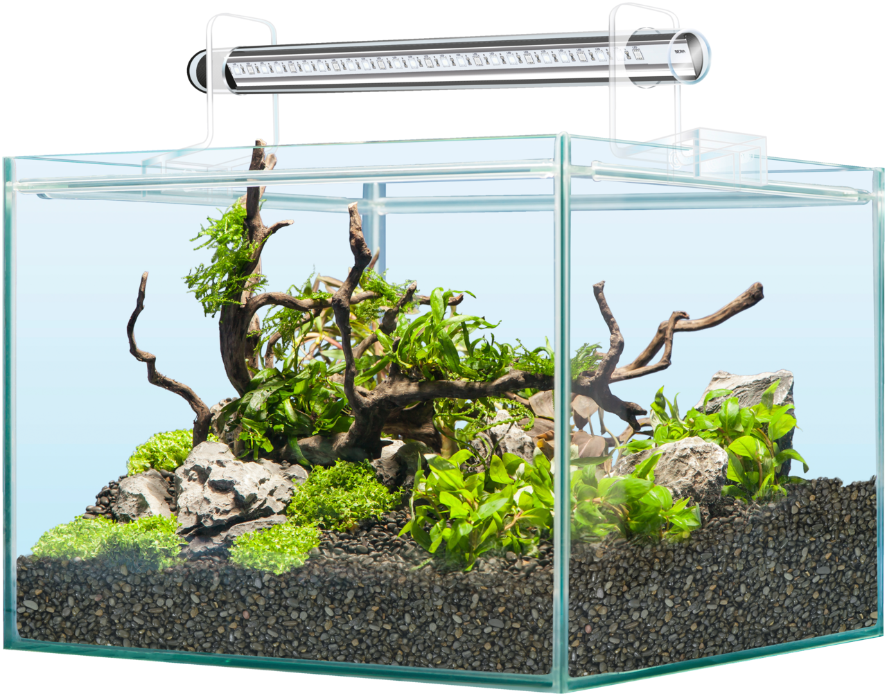 Aquarium Setupwith L E D Lighting PNG — A clear glass aquarium with dark gravel substrate green aquatic plants and twisted driftwood under a white LED light bar.