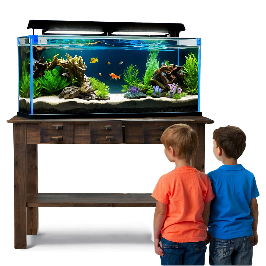 Aquarium Supplies Png Hqh88 PNG