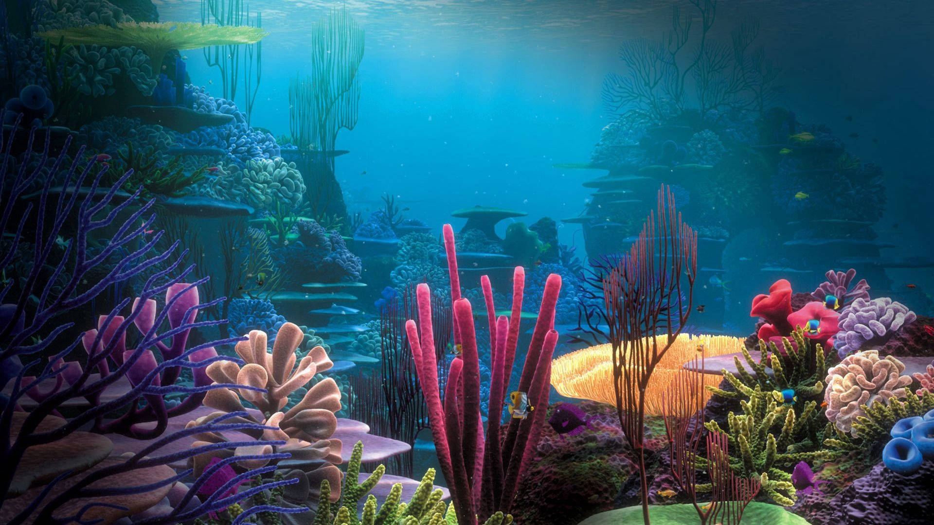 Aquarium underwater ocean wallpaper