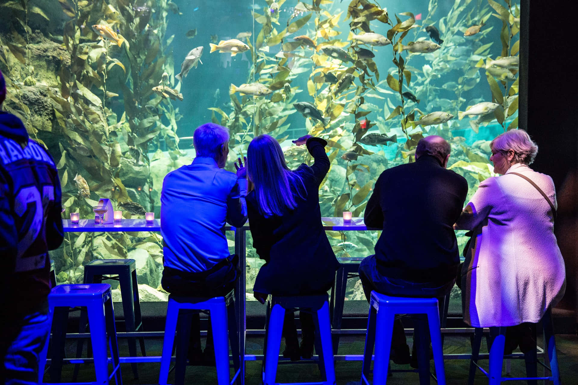 Aquarium Visitors Enjoying Underwater View Wallpaper