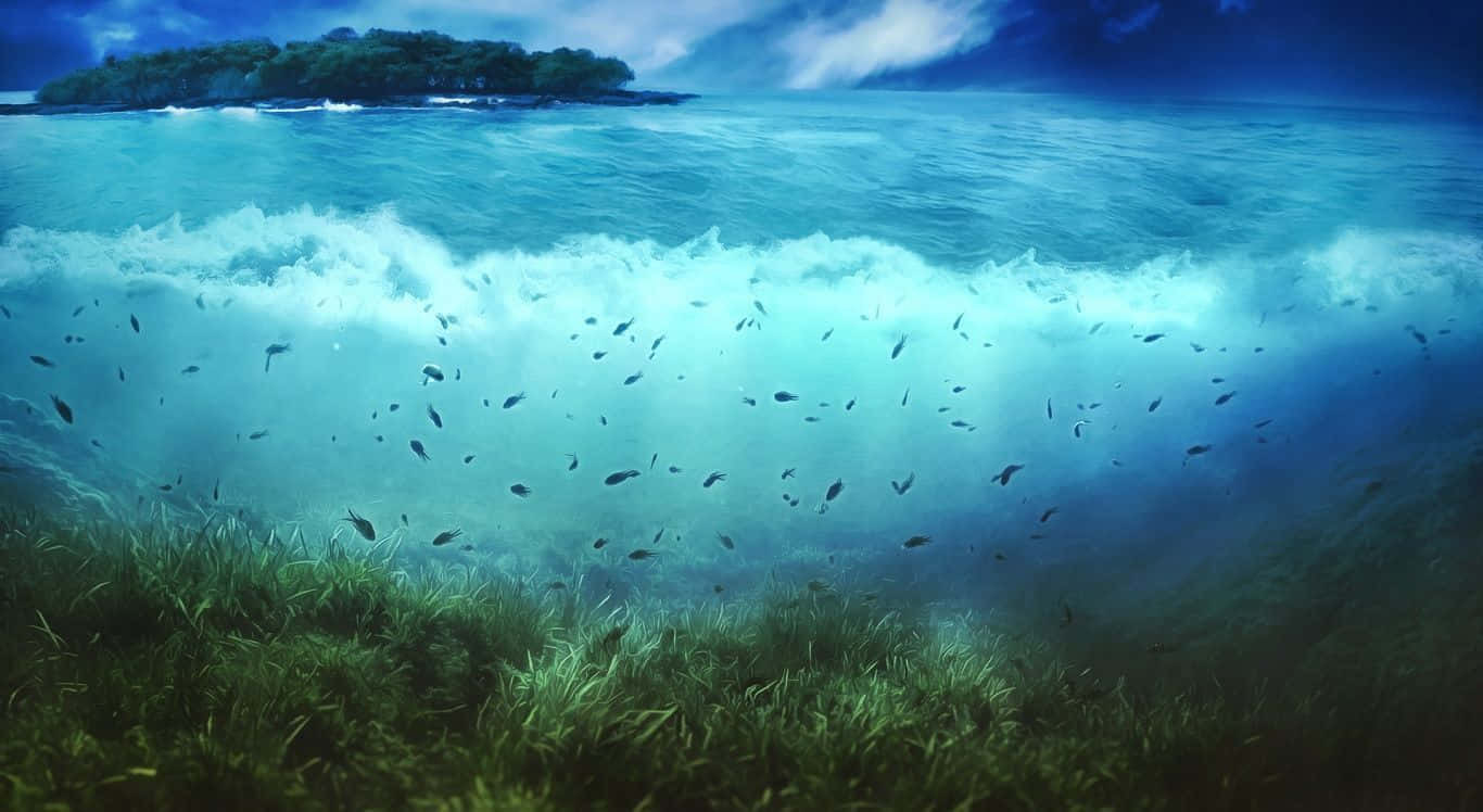 Serene Underwater Landscape
