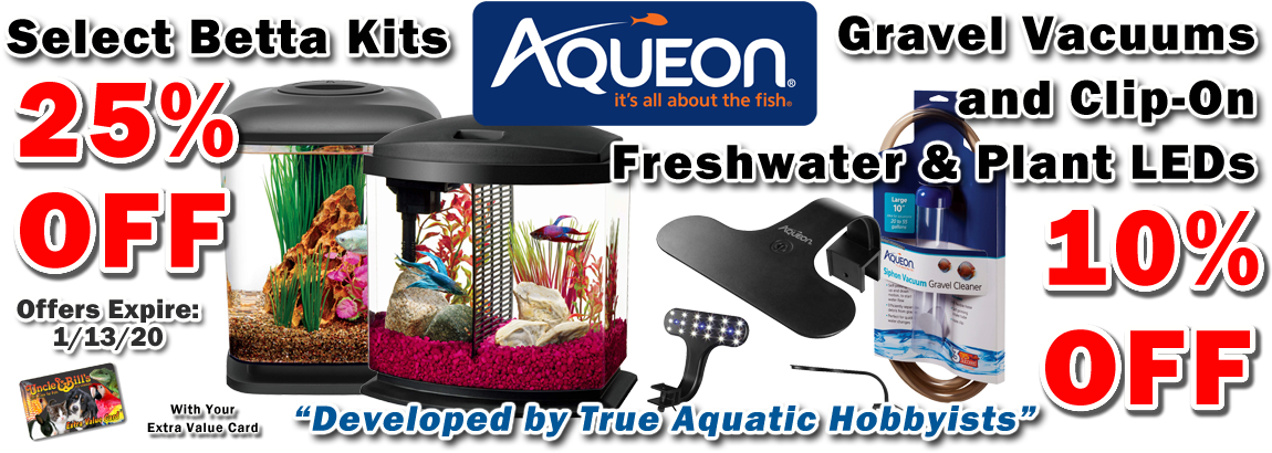 Aquatic Sale Promotion Banner PNG