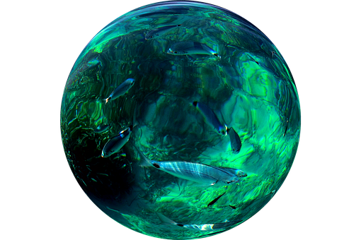 Aquatic Sphere Fish Environment PNG