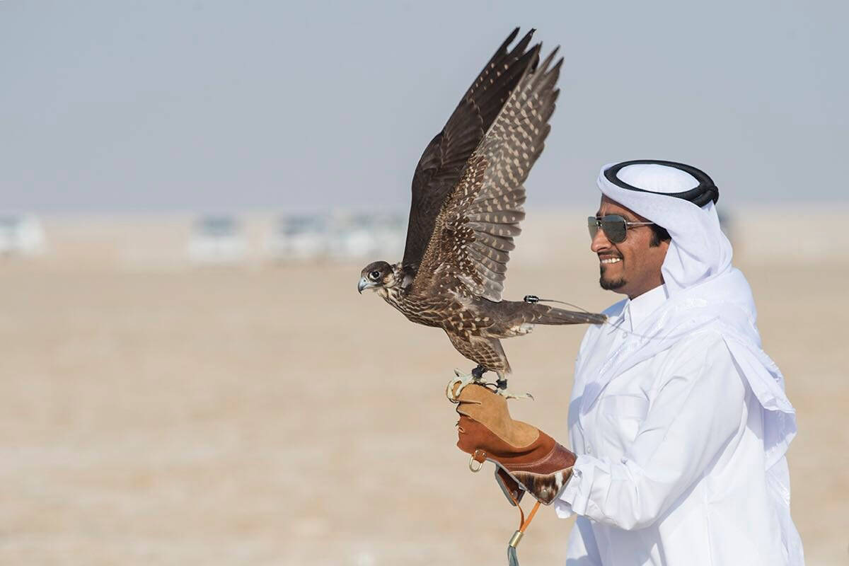 Download Arab Man Carries Falcon Qatar Wallpaper 
