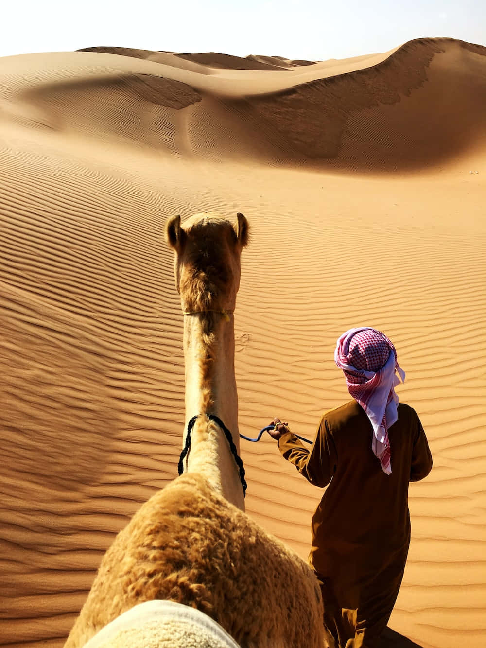 Arab Man Holding Camel In Desert Wallpaper