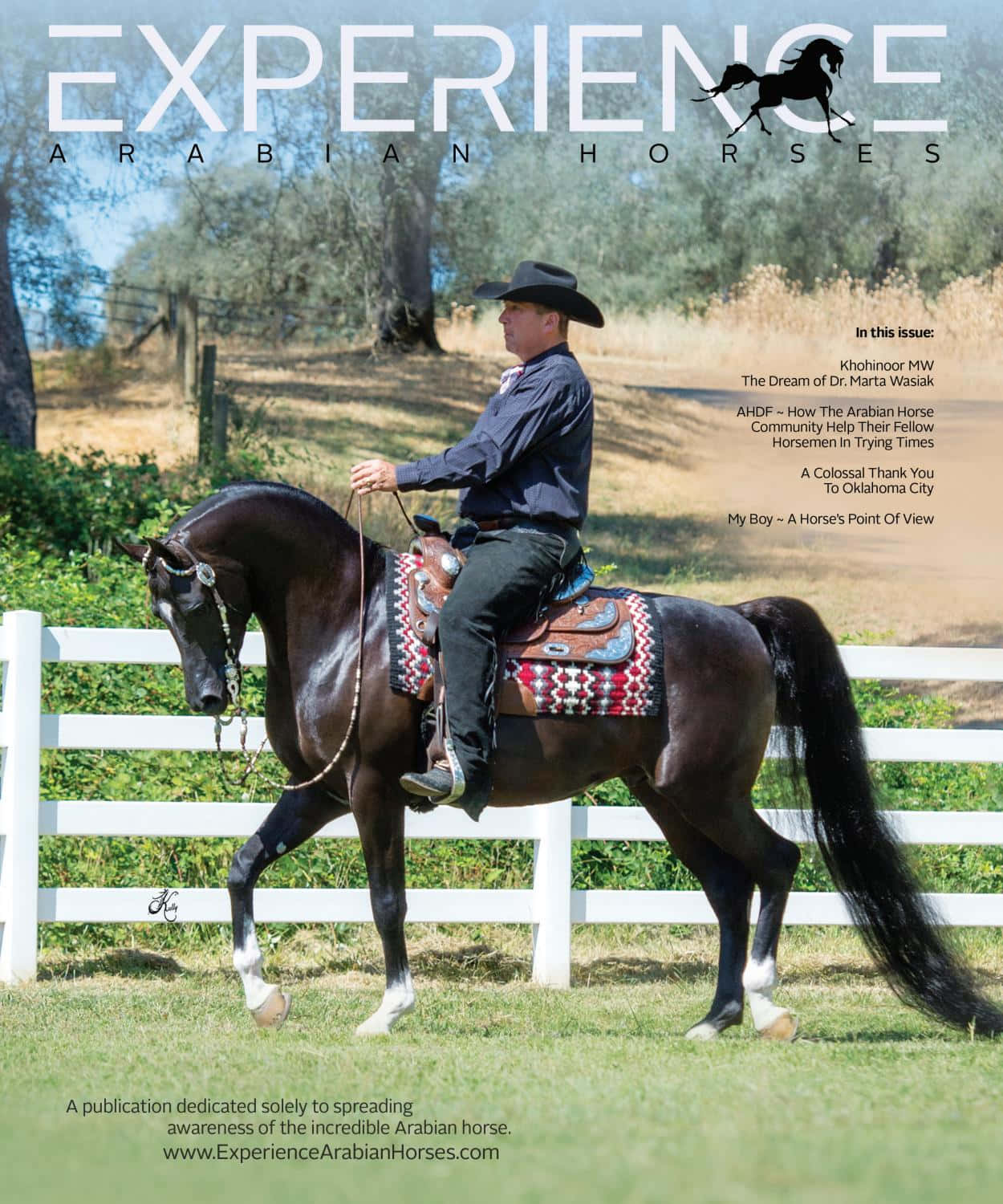 Experience Magazine Cover With A Man Riding A Horse