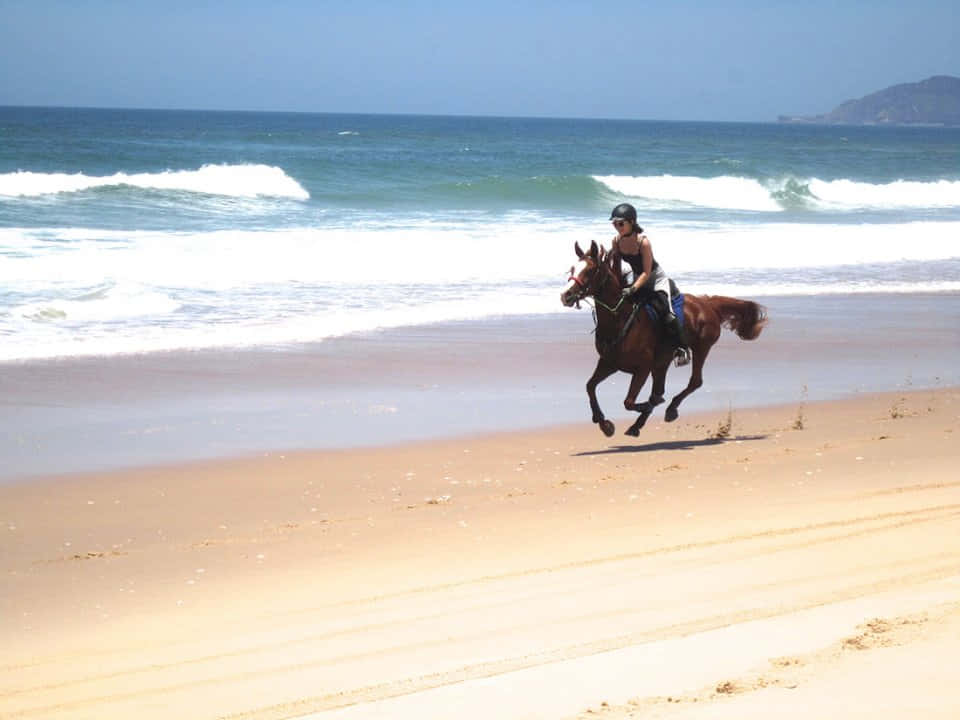 Unmaestoso Cavallo Arabo Che Corre Attraverso Il Deserto