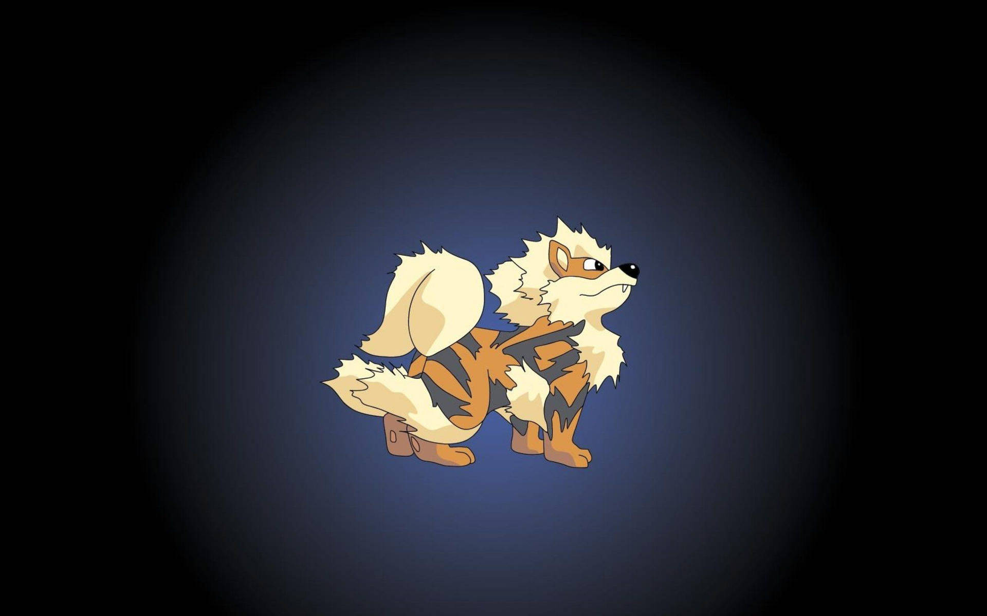 Arcanine Facing Right Black Background Wallpaper