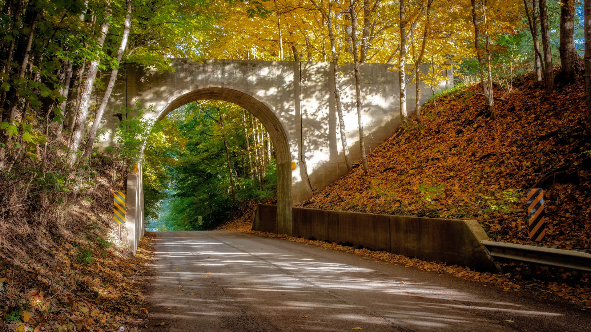 Arch Leading To The Woods Wallpaper