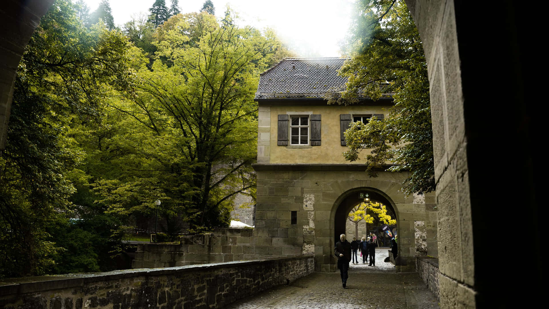 Passaggioad Arco Nel Castello Di Heidelberg Sfondo