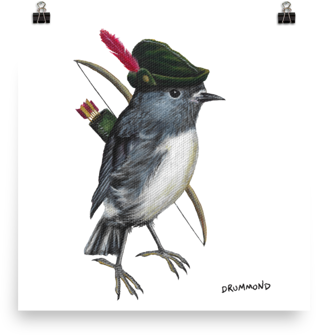 Archer Robin Bird Illustration PNG