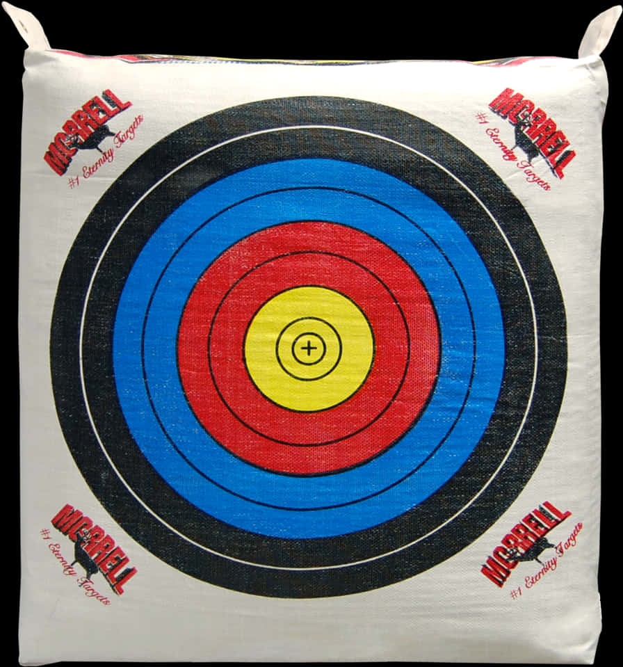 Archery Target Cushion PNG