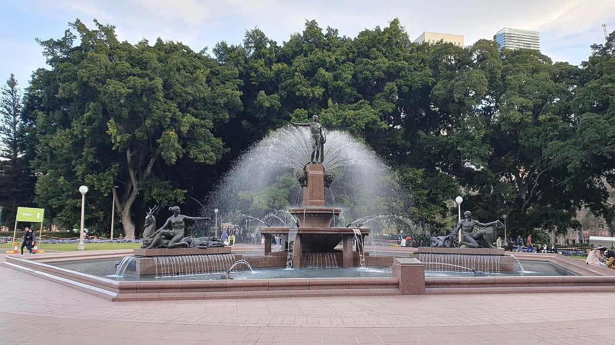 Archibald Fontein Royal Botanic Garden Sydney Achtergrond