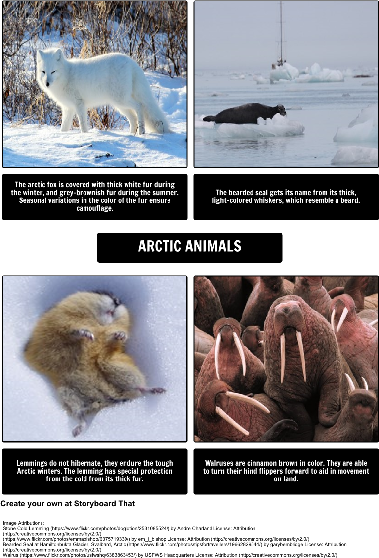 Arctic Animals Collage PNG