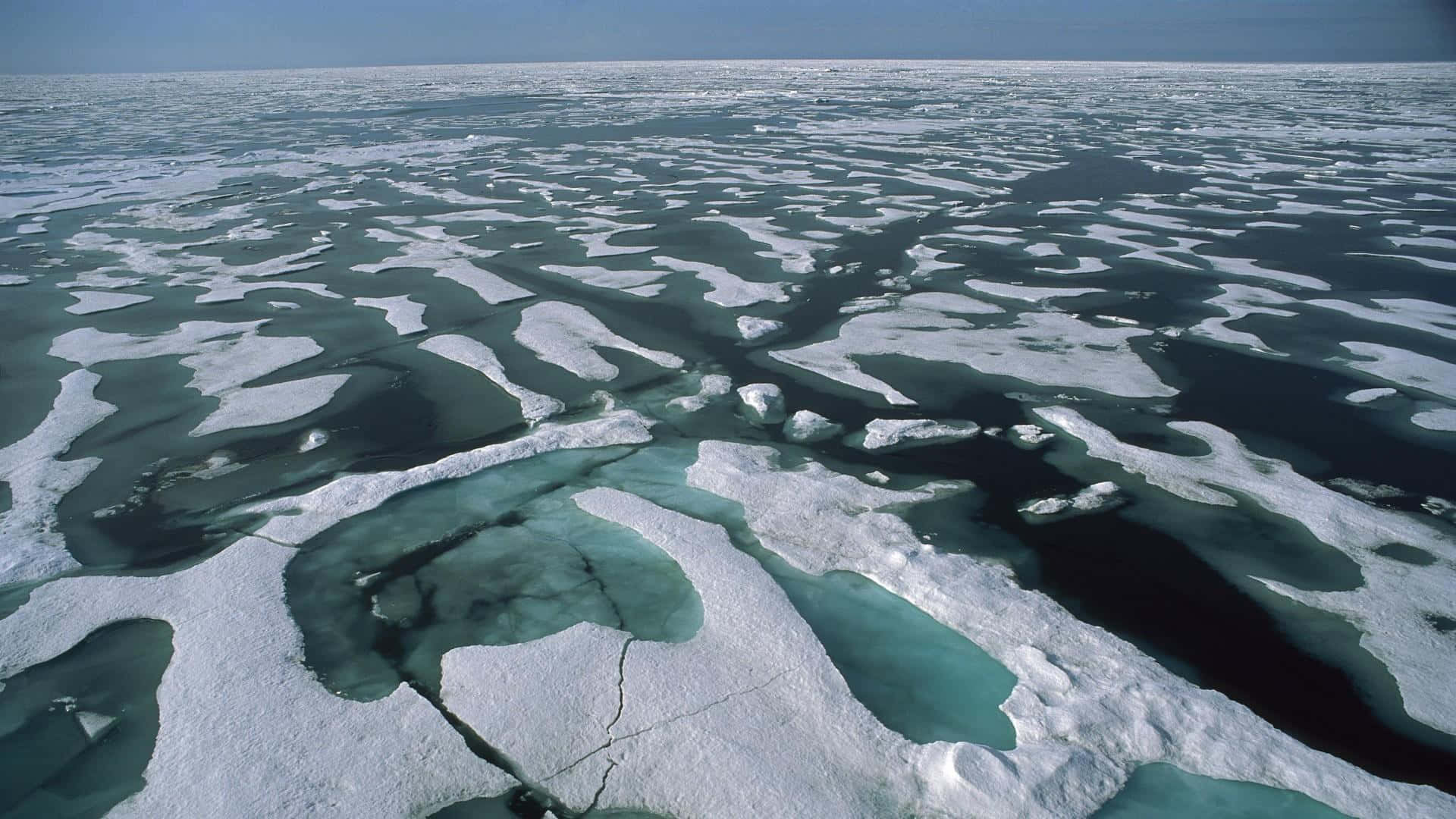 Arctic Background