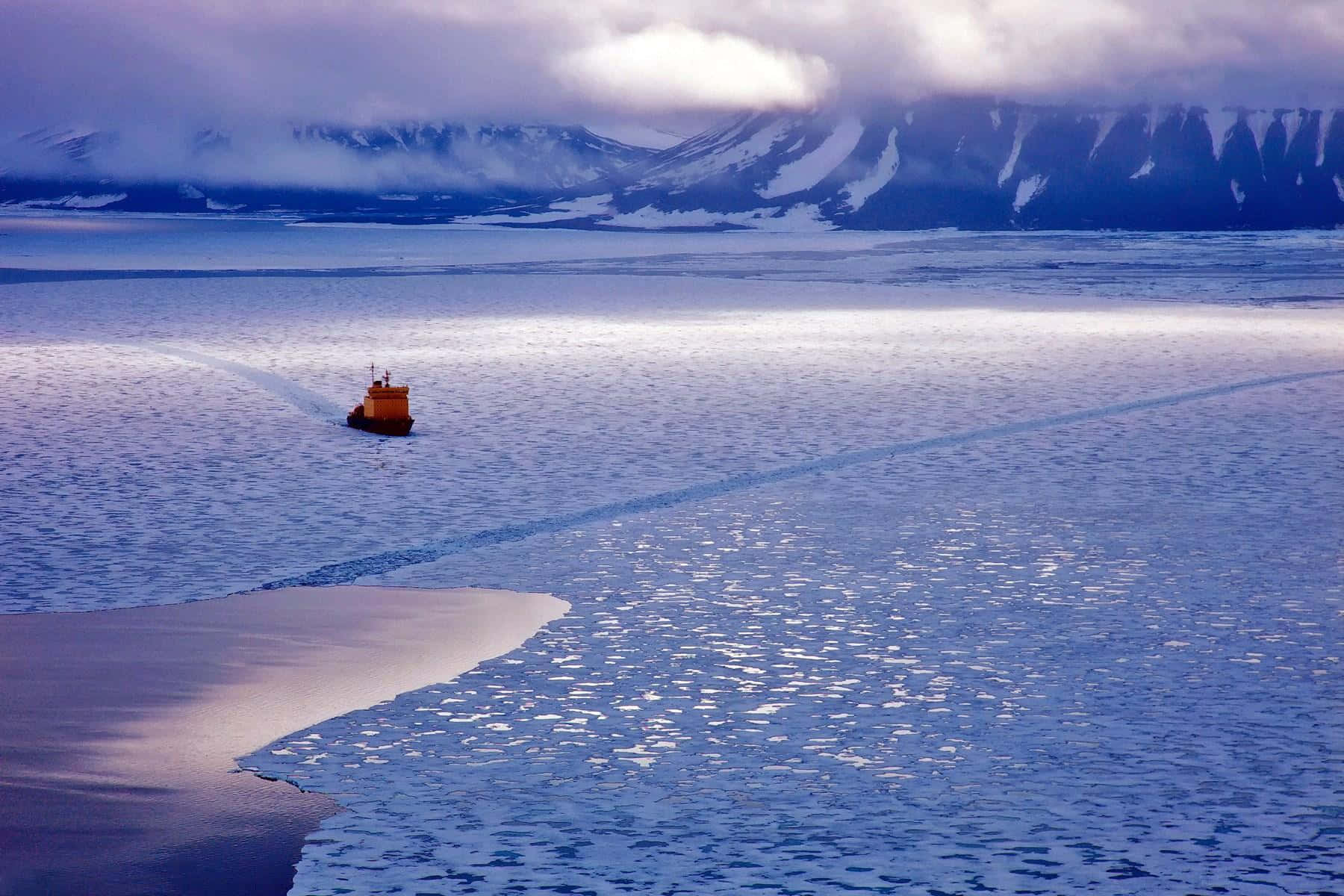 Arktiskbaggrund