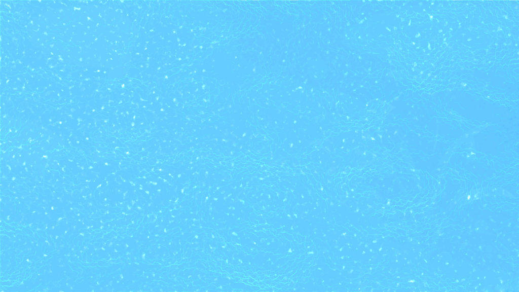 Arktiskblå Enfärgat Tapet Till Dator Eller Mobiltelefon. Wallpaper