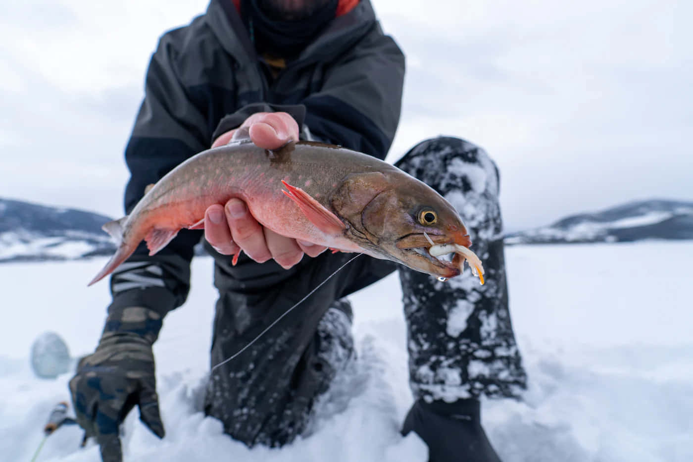 Arctic Char Ice Fishing Catch Wallpaper