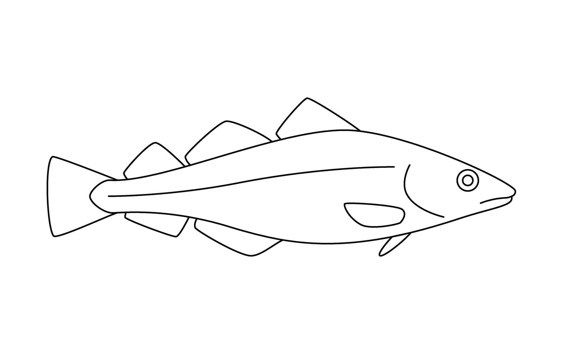 Arctic Cod Line Drawing Wallpaper