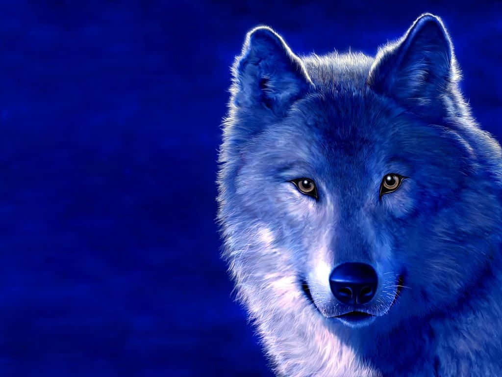 Arctic Cool Blue Wolf Desktop Wallpaper