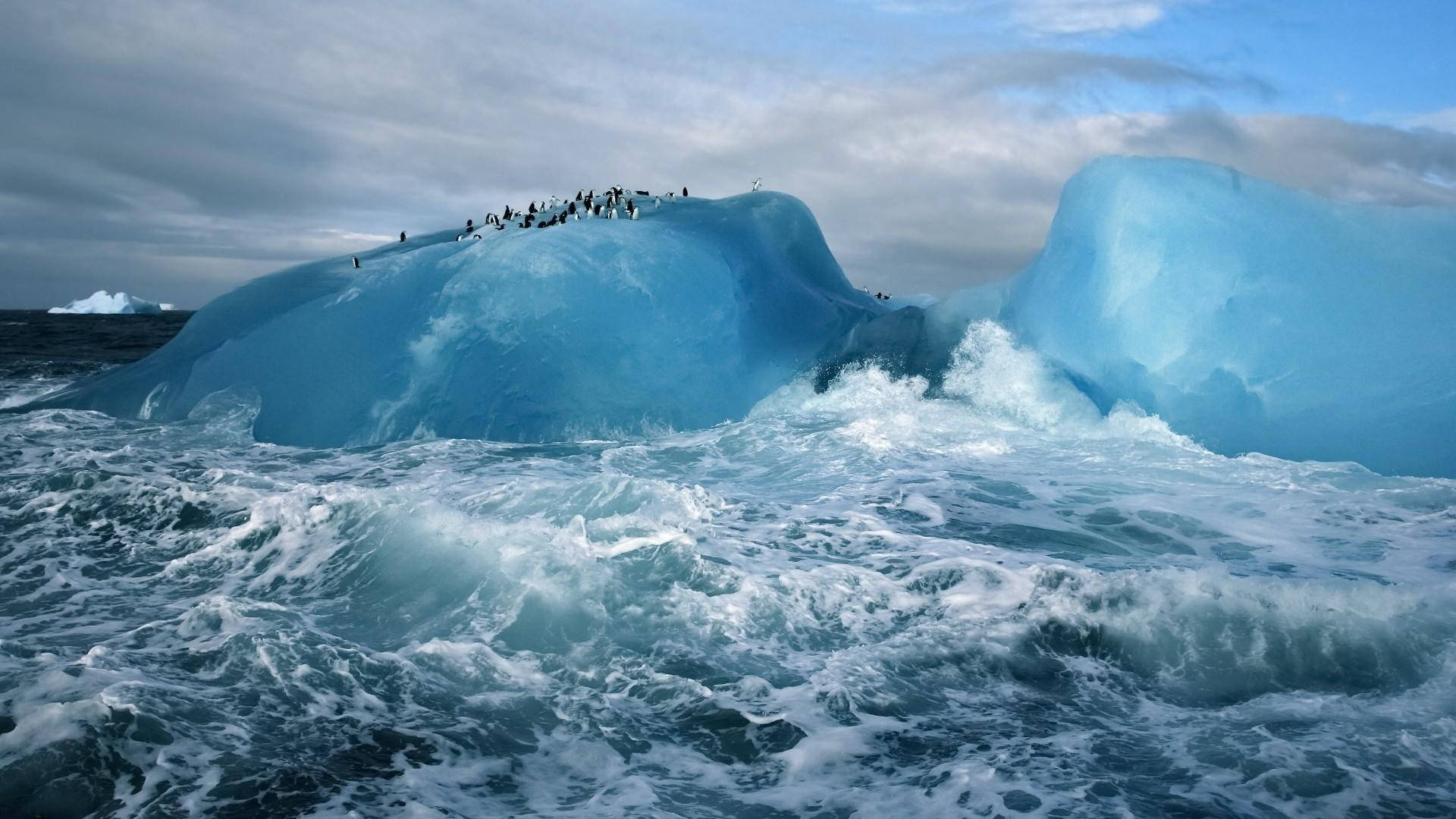 Arktisk Isbjerg Med Pingviner Wallpaper