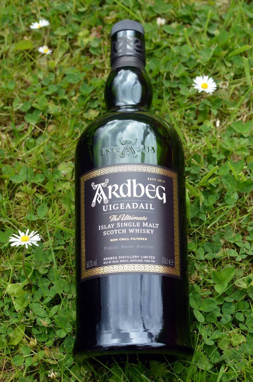 Botellade Whisky Ardbeg Uigeadail En El Césped. Fondo de pantalla