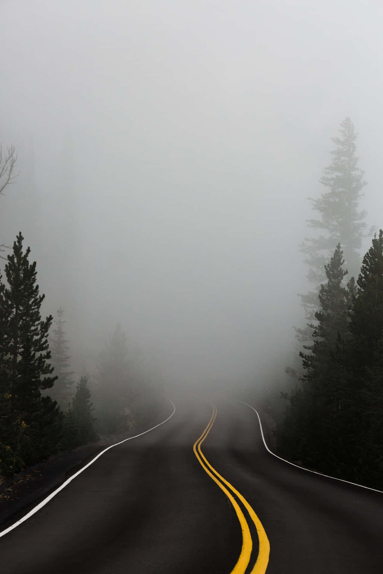 Arduous Foggy Mountain Road Wallpaper