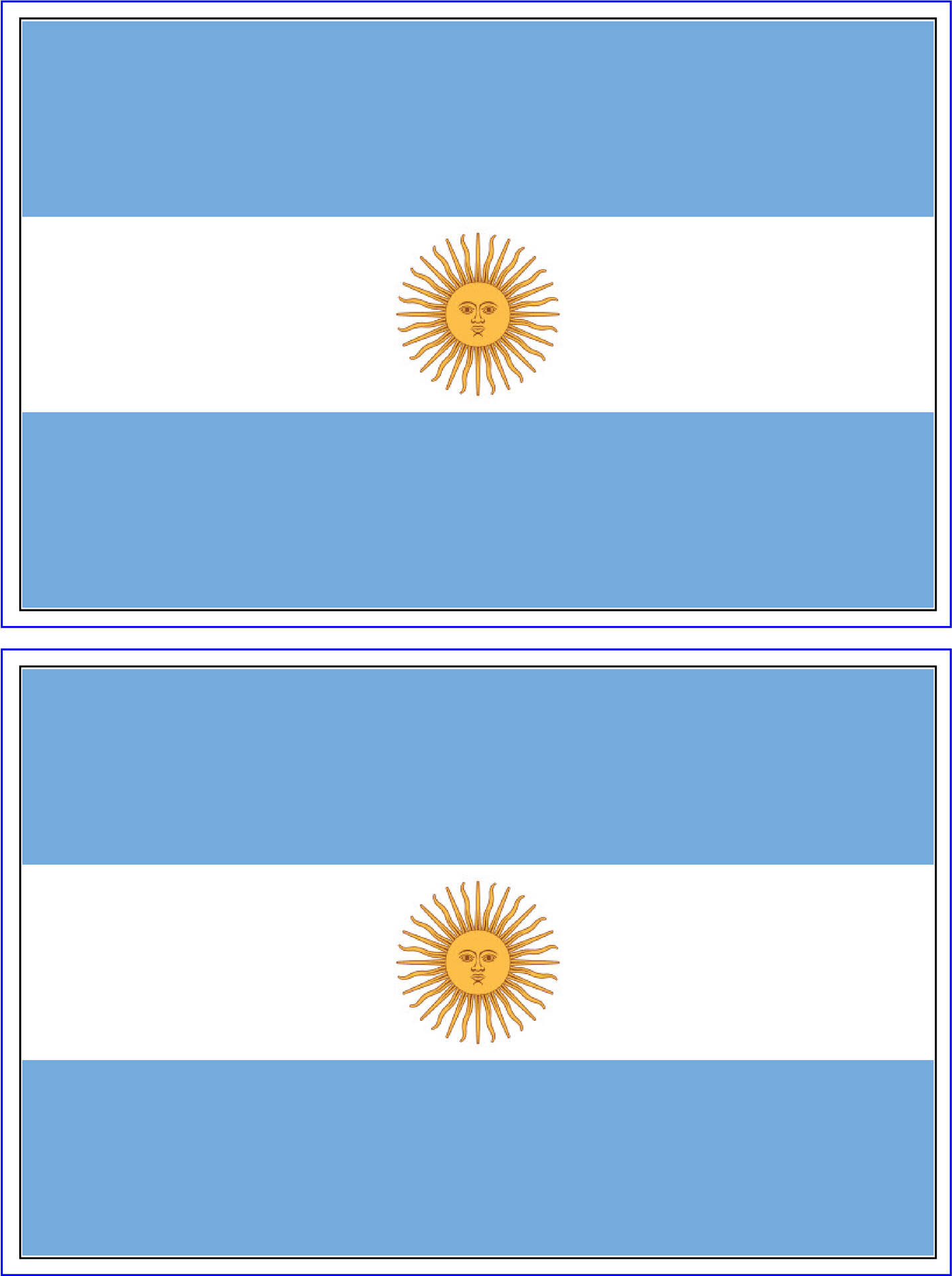 Argentinian Flag Twin Display PNG