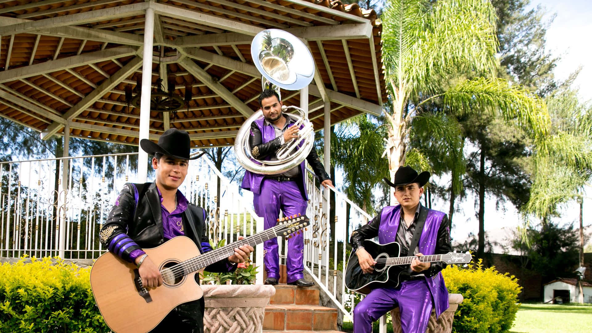 A Group Of Men In Purple Outfits Playing Instruments Wallpaper