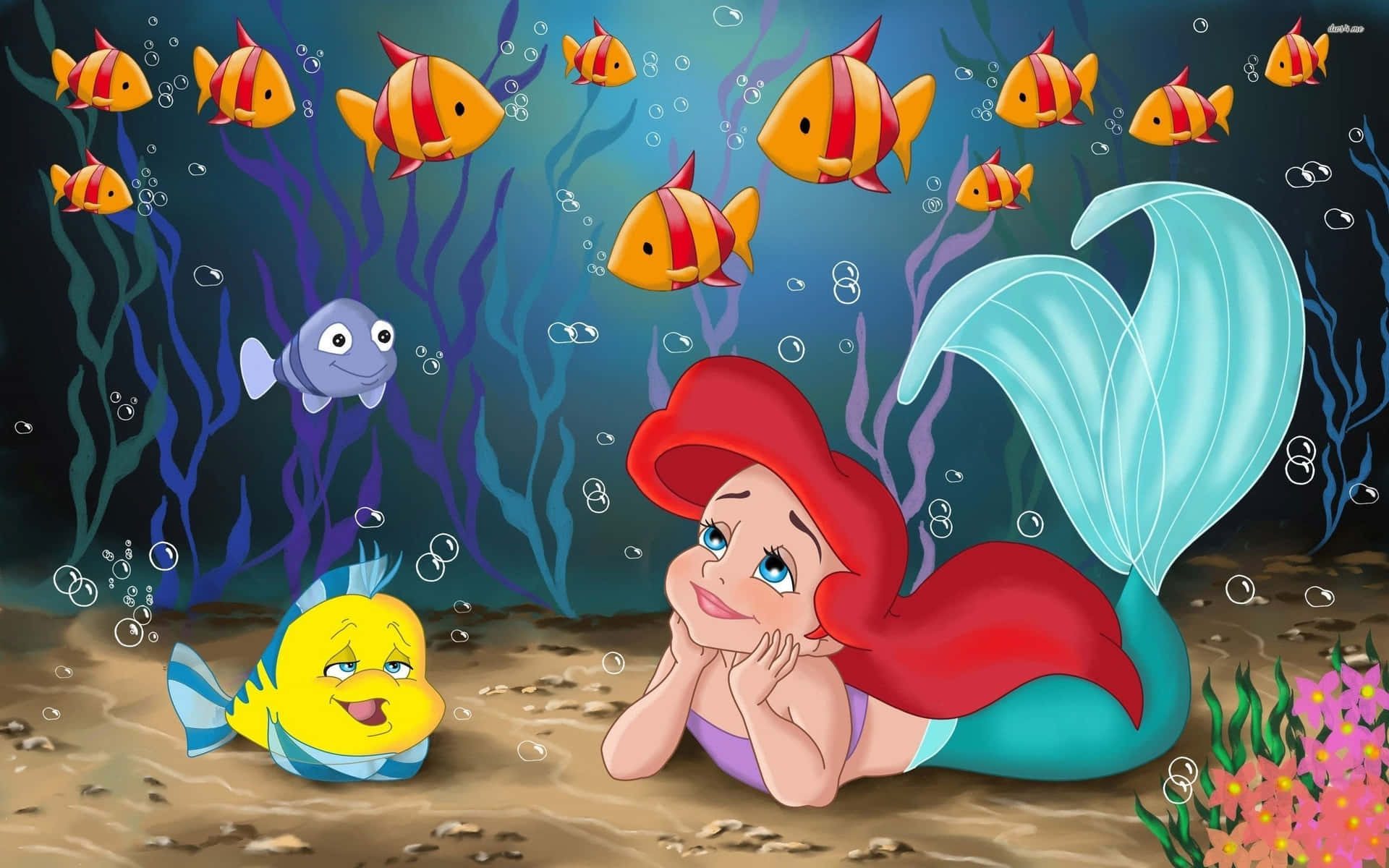 Live your dreams in the underwater world of Ariel's enchanted kingdom