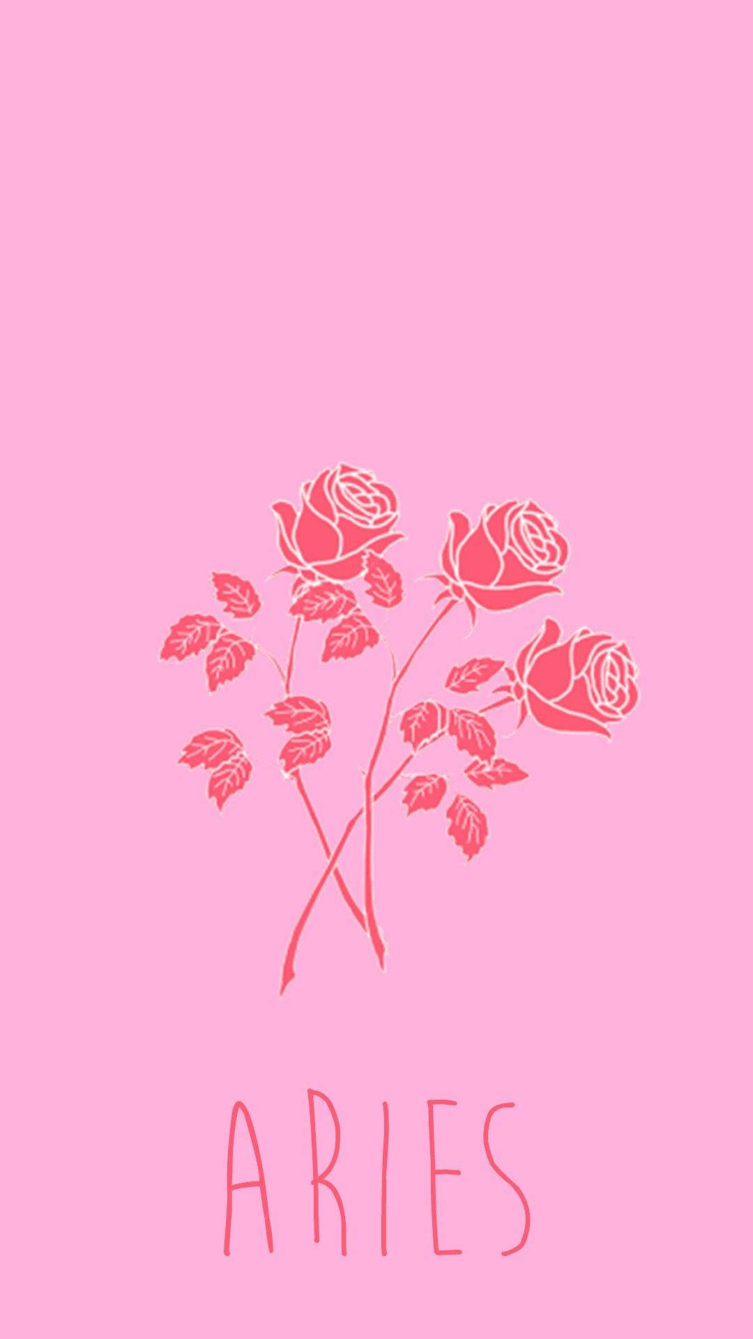 Aries Aesthetic Red Roses In Pink