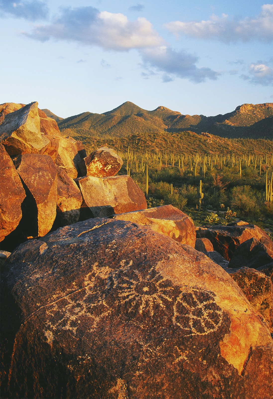 Enjoy the breathtaking beauty of Arizona's red-hued landscapes