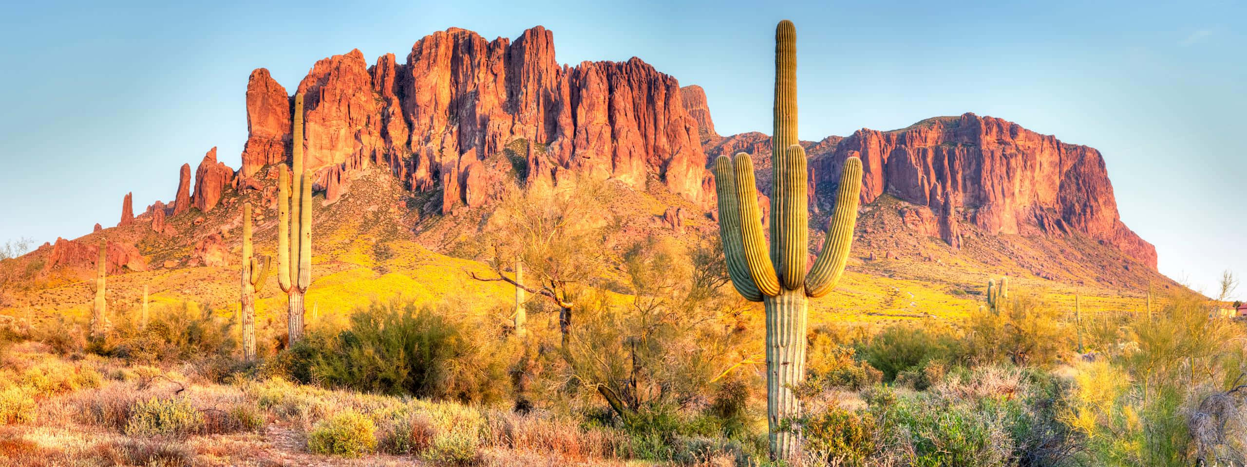 Unpaesaggio Desertico Con Cactus E Montagne