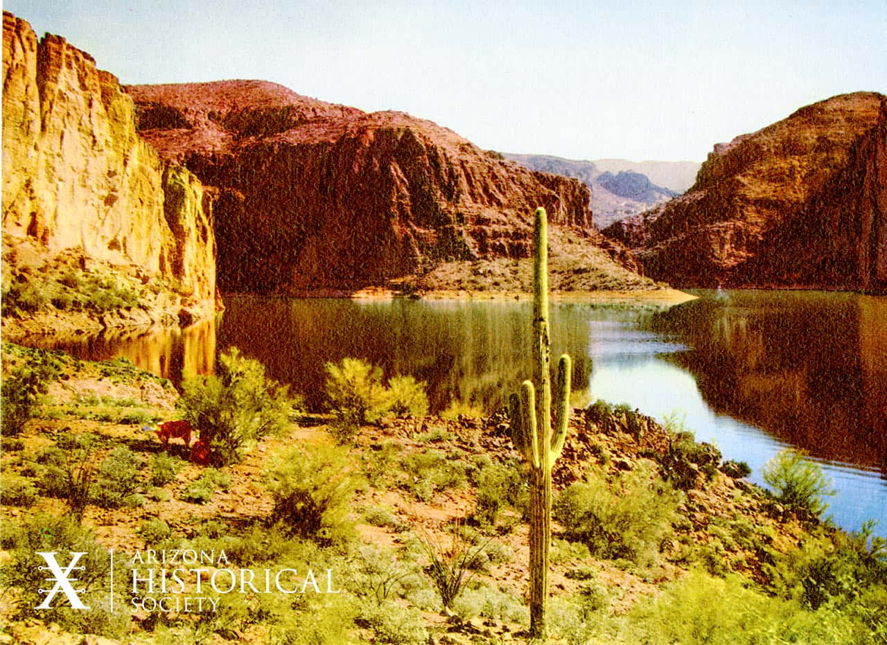 Explore the desert beauty of Arizona