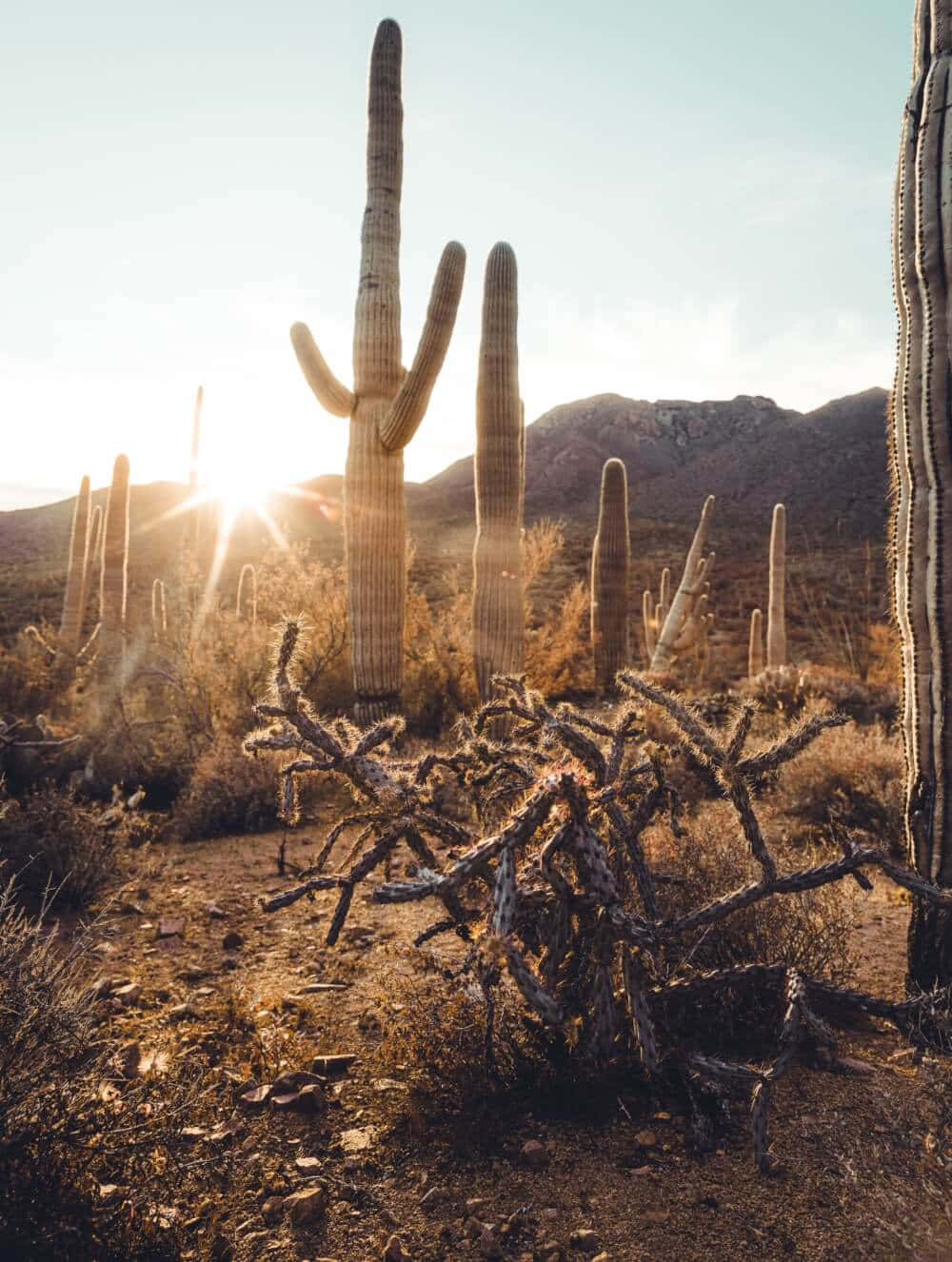 Stunning location in Arizona with breathtaking landscape