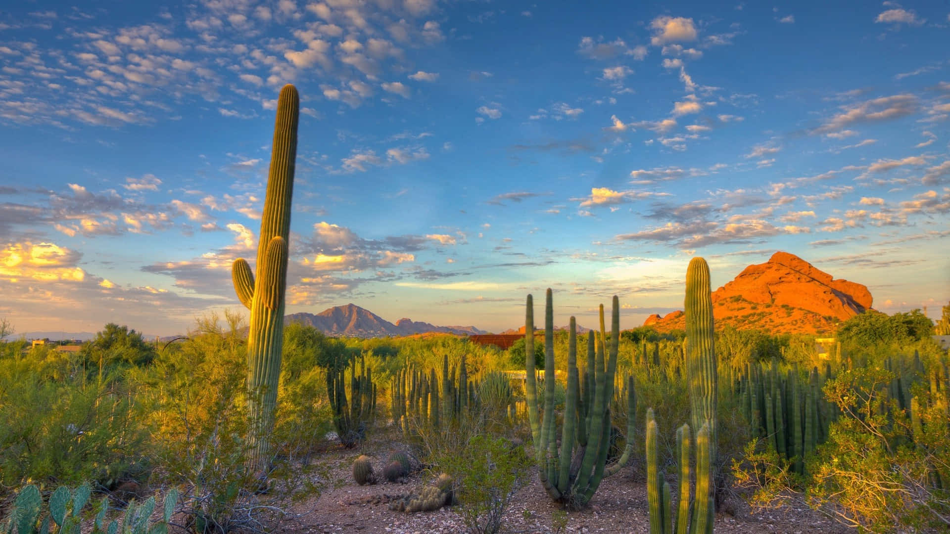 Goditila Bellezza Dell'arizona