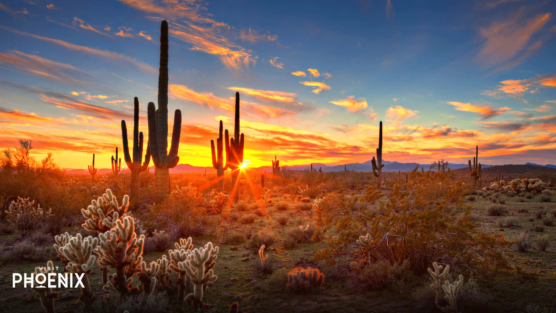 Explore the Beauty of Arizona