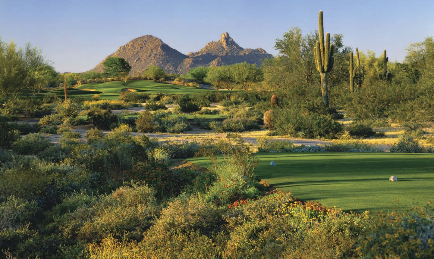 A Golf Course With Cactus And Mountains