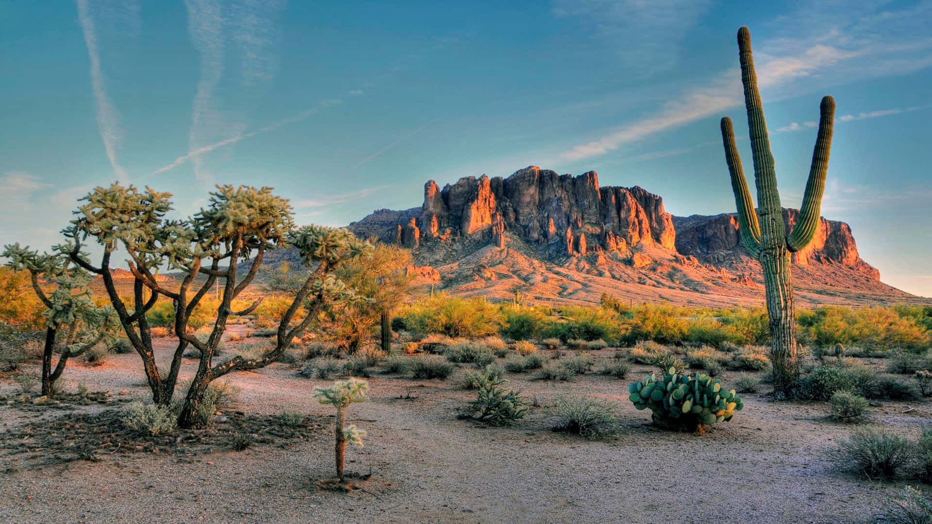 Admire the Sonoran Desert in Arizona