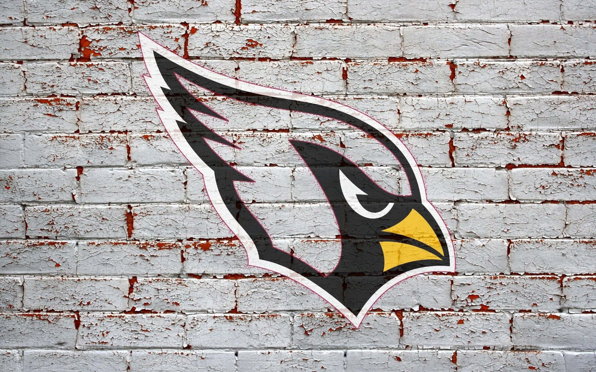 Experience the thrill of being a part of the Arizona Cardinals