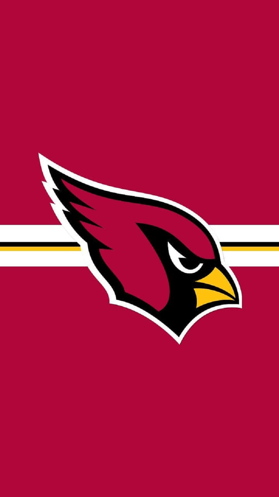 The Arizona Cardinals ready to take on their next opponent