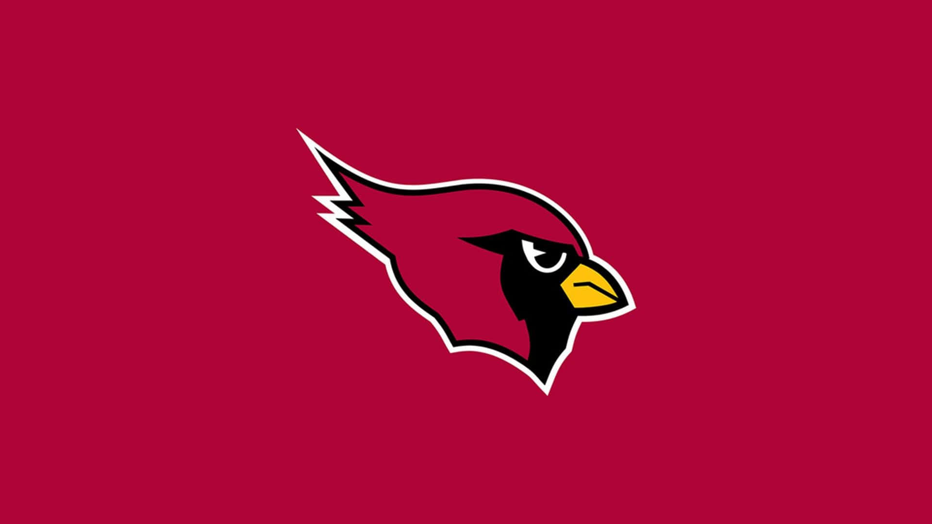 "Fear the Birds" - Arizona Cardinals