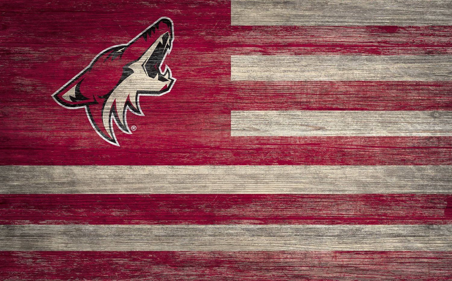 Arizona Coyotes American Flag